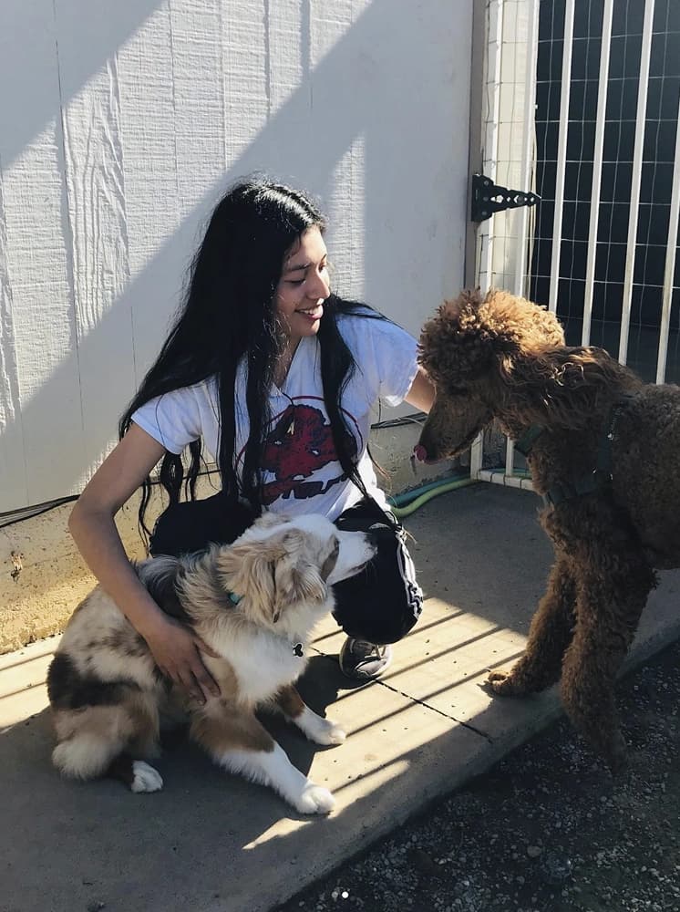 A dog owner bonding with dogs in the covered lodging area