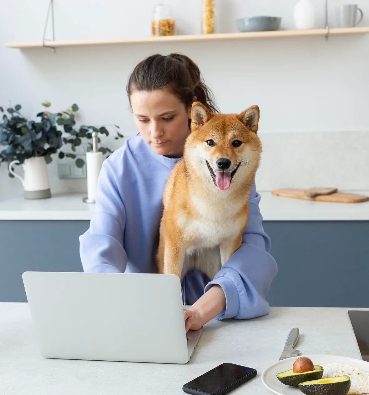Dog owner writing to KOVA Sonoma with her shiba inu