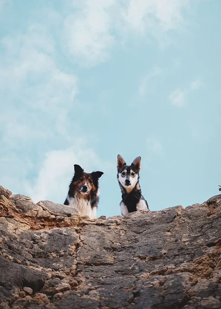 Duke leading the way on a personal tour