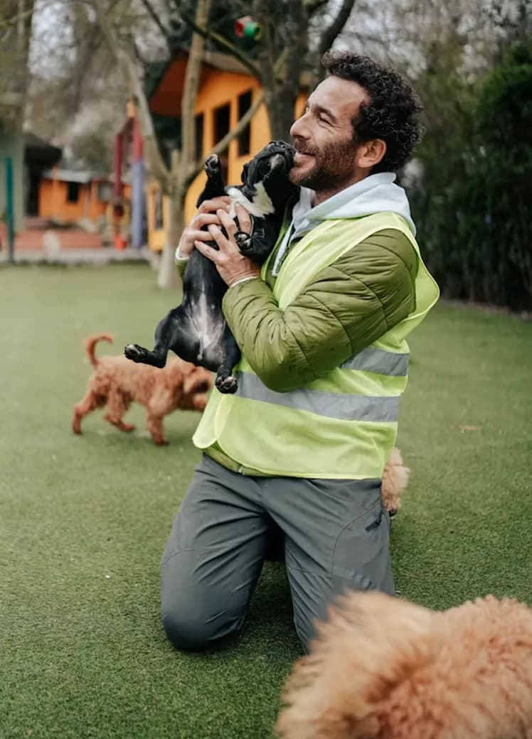 A handler greeting a dog